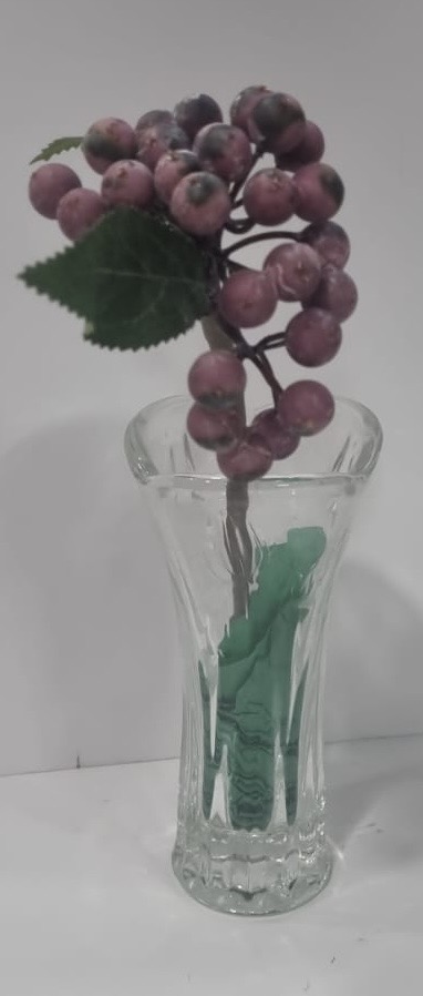 Berries Plum